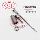 FOOZC99032 Diesel Injector Repair Kits F OOZ C99 032 Needle Check Valve FOOZ C99 032 F00VC01034 For Renault 0445110110