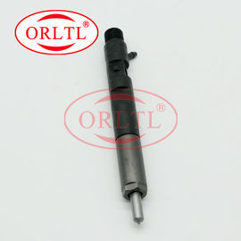 166001137R Delphi Fuel Injection EJBR05102D 28232251 Common Rail Diesel Injector EJB R05102D EJBR0 5102D For DACIA LOGAN