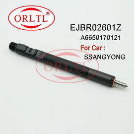 Delphi Common Rail Injection EJBR02601Z (A6650170121) Auto Fuel Injector EJB R02601Z EJBR0 2601Z For SSANGYONG Kyron