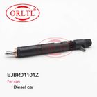 ORLTL EJBR0 1101Z Fuel Pump Injector EJB R01101Z Genuine Injection EJBR01101Z for Diesel Car